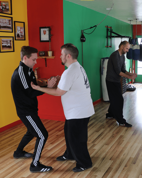 STL Kung Fu School of Southern Praying Mantis